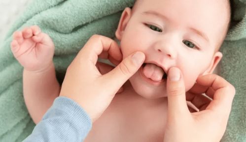 �Թ�Ӥ��ͼƬ4